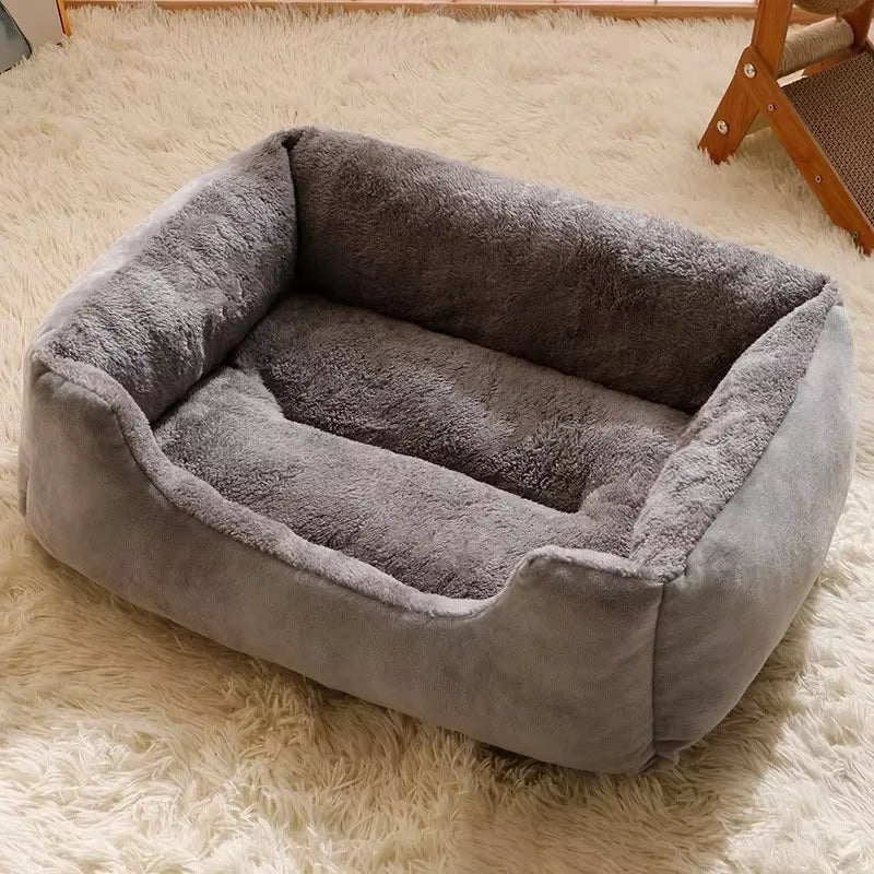 Bed for Cats Pet Products Cushions Kitten Winter Accessories Dog All Houses Supplies Things Accessory Habitats Basket House Beds - Teddy Pet