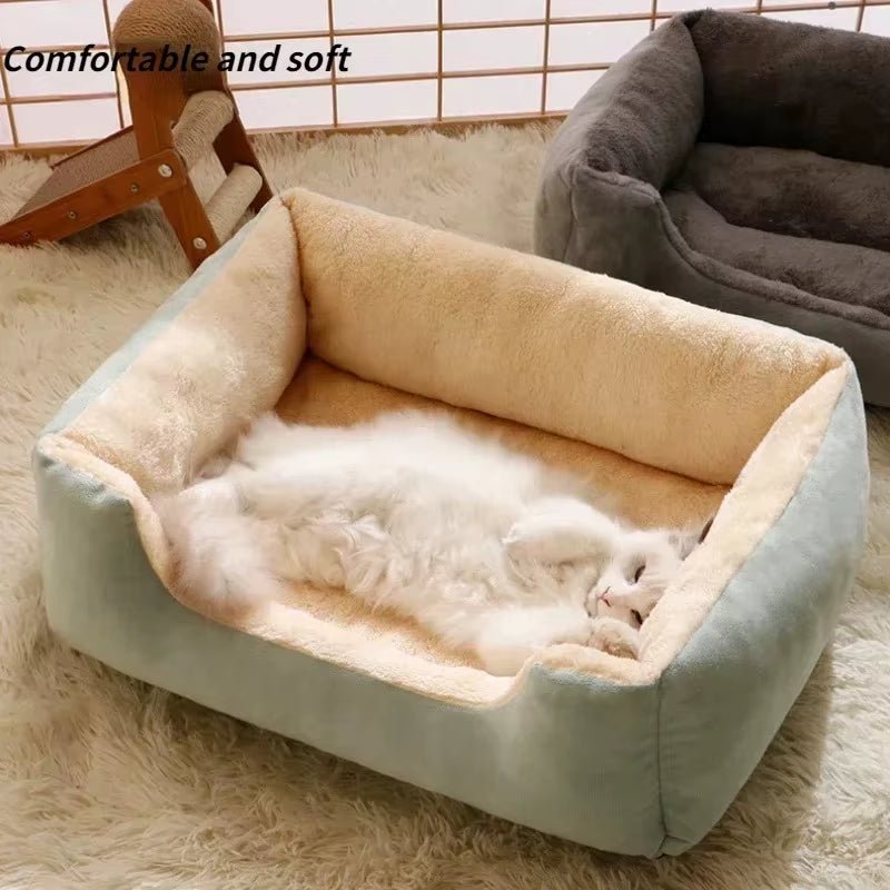 Bed for Cats Pet Products Cushions Kitten Winter Accessories Dog All Houses Supplies Things Accessory Habitats Basket House Beds - Teddy Pet