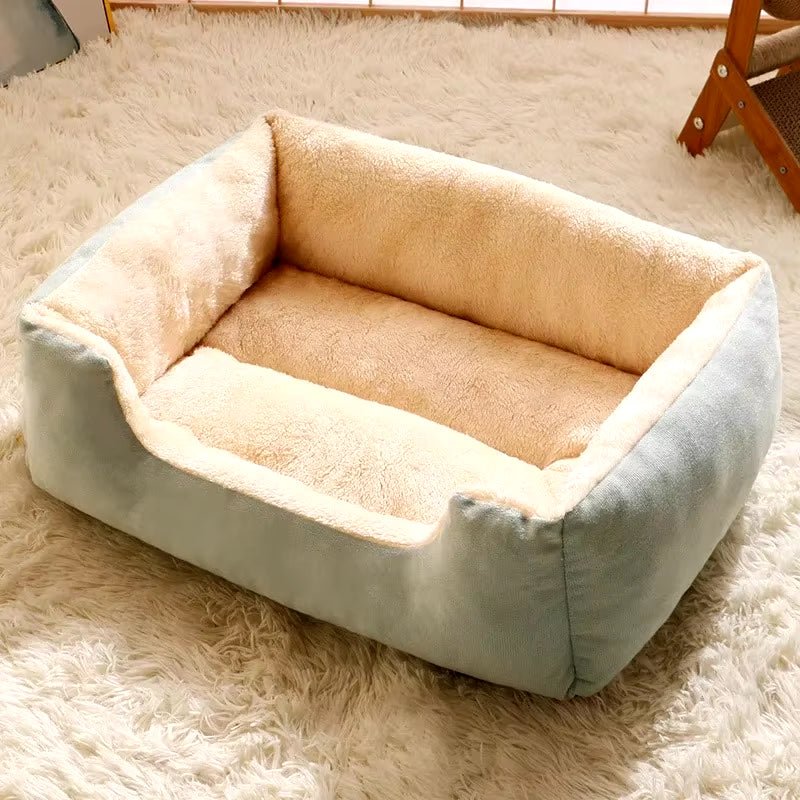 Bed for Cats Pet Products Cushions Kitten Winter Accessories Dog All Houses Supplies Things Accessory Habitats Basket House Beds - Teddy Pet