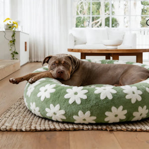 Donut Bed 🍩 - Teddy Pet