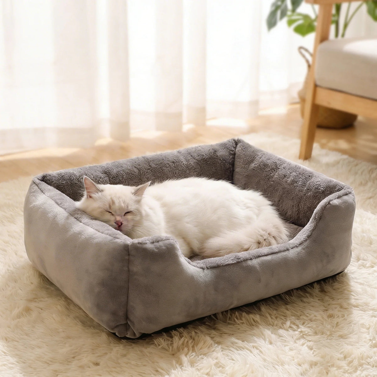 King Bed 👑 - Teddy Pet