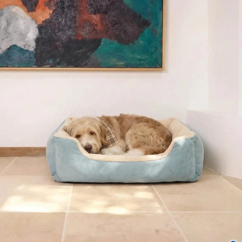 King Bed 👑 - Teddy Pet