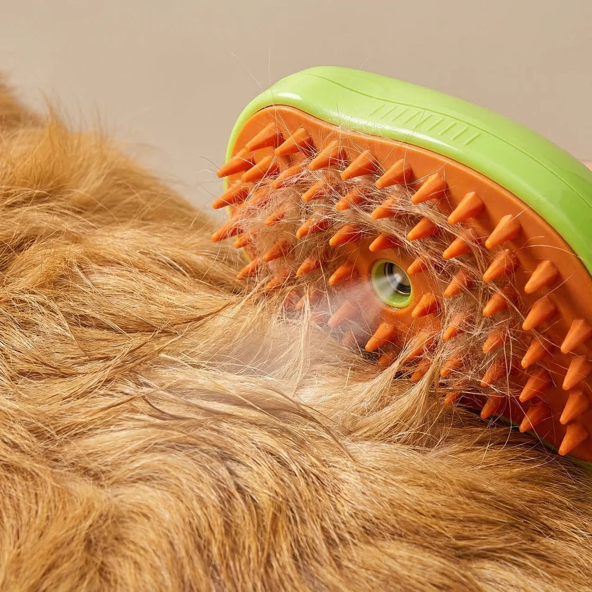 Steam Brush - Teddy Pet