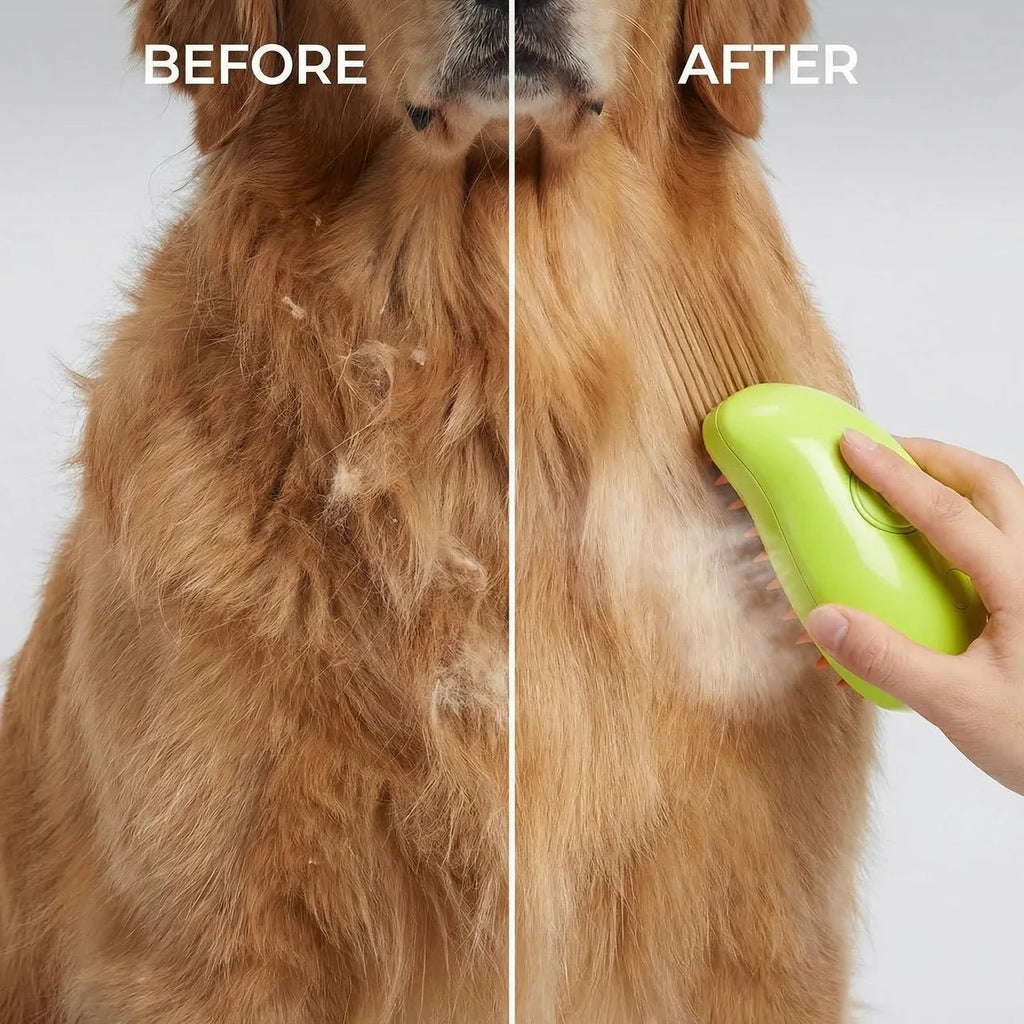 Steam Brush - Teddy Pet